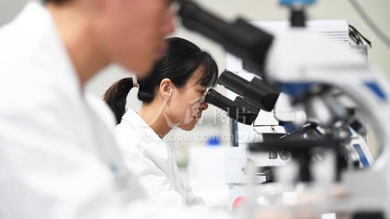引物合成质控流程：降低错误率的五大关键步骤
