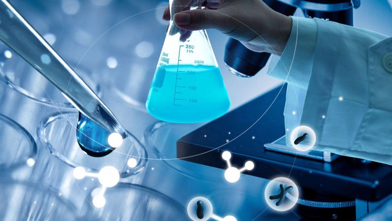 生物科技检测服务：规格解析与关键考量**
