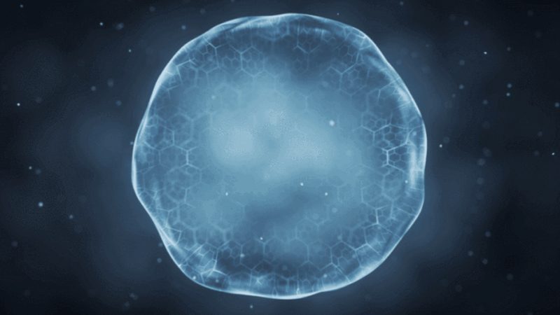 生物科技检测服务：揭秘报价背后的考量因素**
