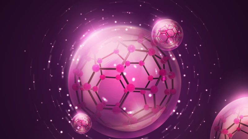 细胞工厂与传统发酵：定制方案背后的技术解析