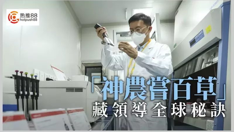 仿制药一致性评价：从申报到过评的全流程拆解