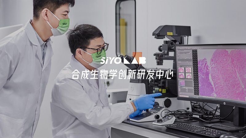 小分子CDMO服务，价格背后的考量因素**