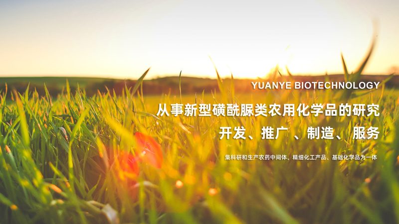 分子生物学试剂分类标准GB，揭秘行业规范与选择要点