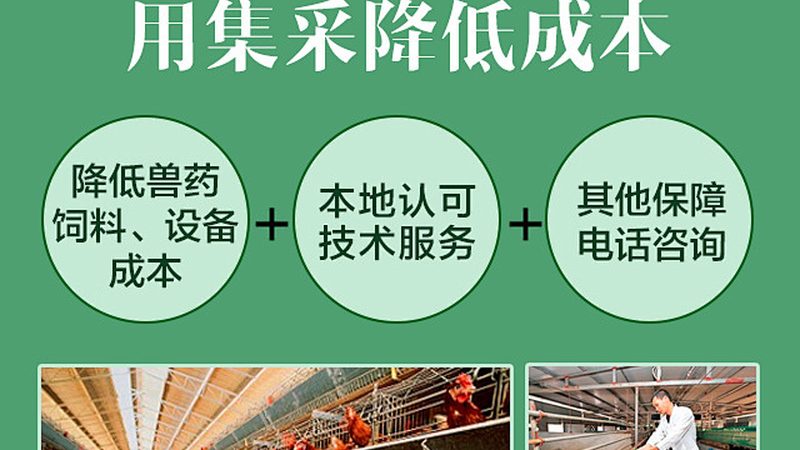 生物医药研发中的得力助手：揭秘移液器定制生产**