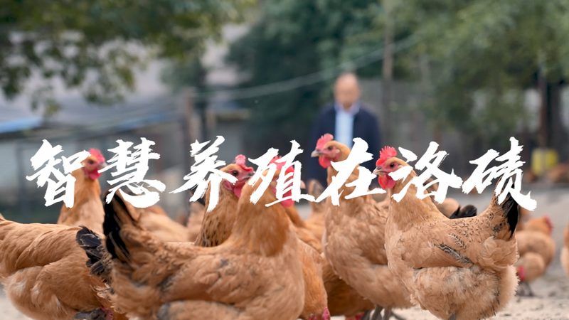 科研引物合成：揭秘精准科研的“幕后英雄”**