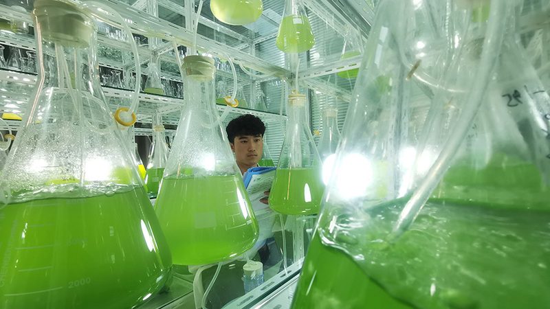 实验室耗材：揭秘直销厂家规格参数的奥秘**